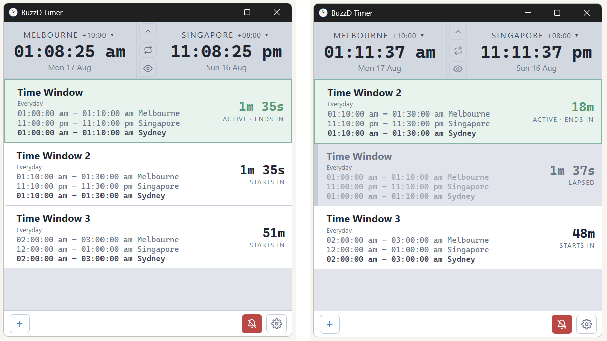 BuzzD Timer active and lapsed time windows side by side